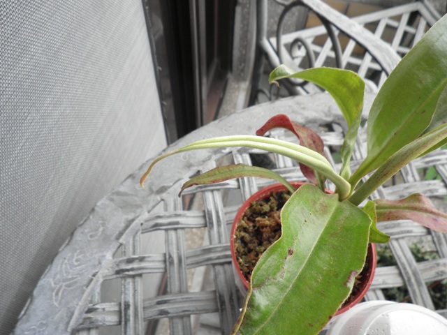 «ö¦¹¦b·sµøµ¡ÂsÄý¹Ï¤ù