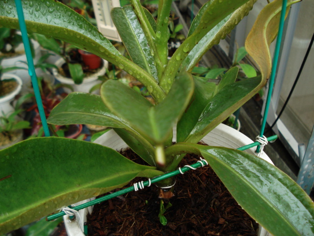 «ö¦¹¦b·sµøµ¡ÂsÄý¹Ï¤ù