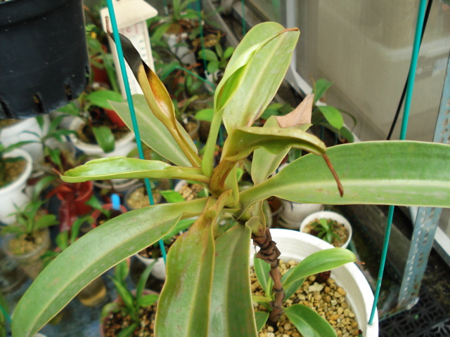 «ö¦¹¦b·sµøµ¡ÂsÄý¹Ï¤ù