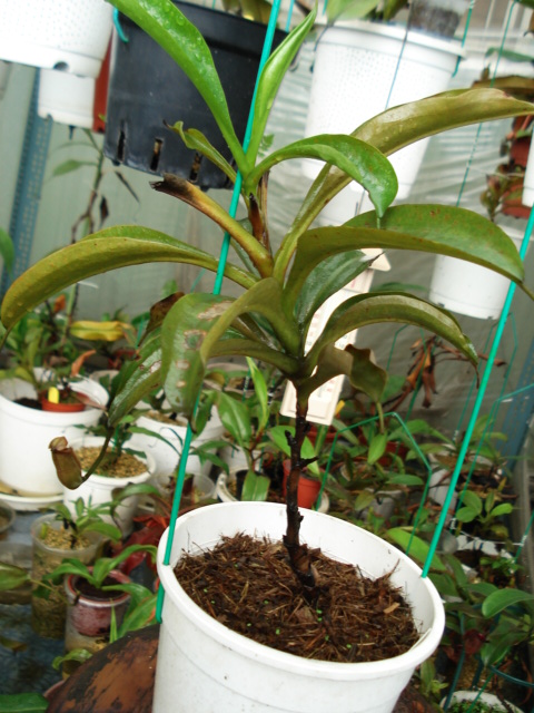 «ö¦¹¦b·sµøµ¡ÂsÄý¹Ï¤ù