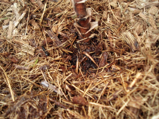 «ö¦¹¦b·sµøµ¡ÂsÄý¹Ï¤ù