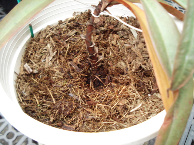 «ö¦¹¦b·sµøµ¡ÂsÄý¹Ï¤ù