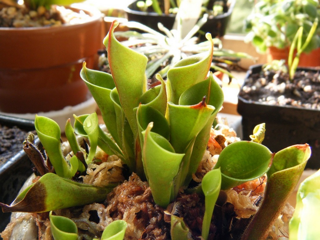 «ö¦¹¦b·sµøµ¡ÂsÄý¹Ï¤ù