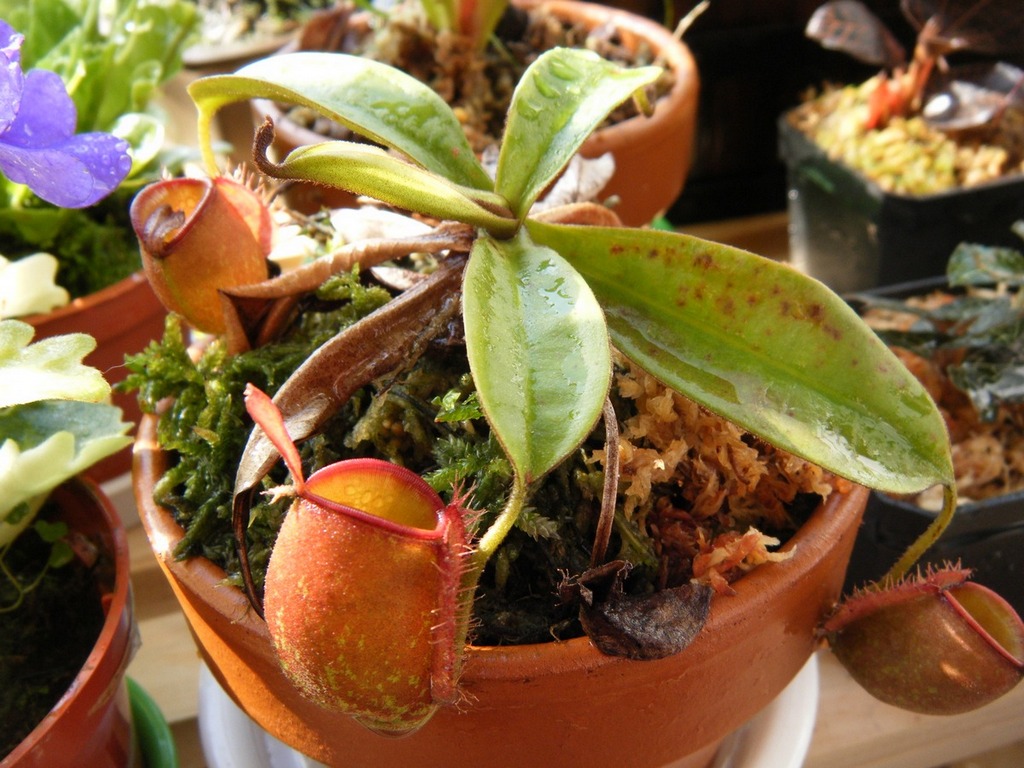 «ö¦¹¦b·sµøµ¡ÂsÄý¹Ï¤ù