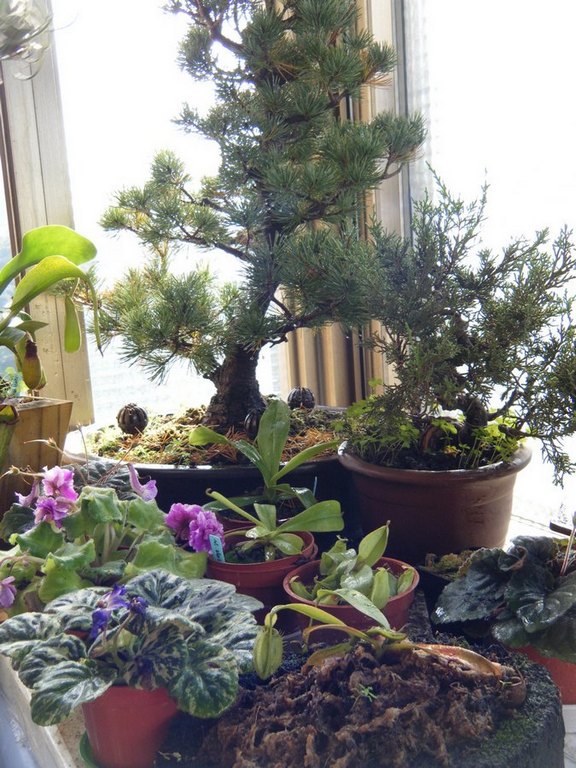 «ö¦¹¦b·sµøµ¡ÂsÄý¹Ï¤ù