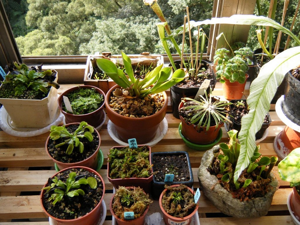 «ö¦¹¦b·sµøµ¡ÂsÄý¹Ï¤ù