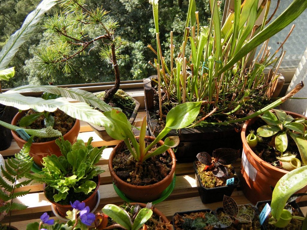 «ö¦¹¦b·sµøµ¡ÂsÄý¹Ï¤ù