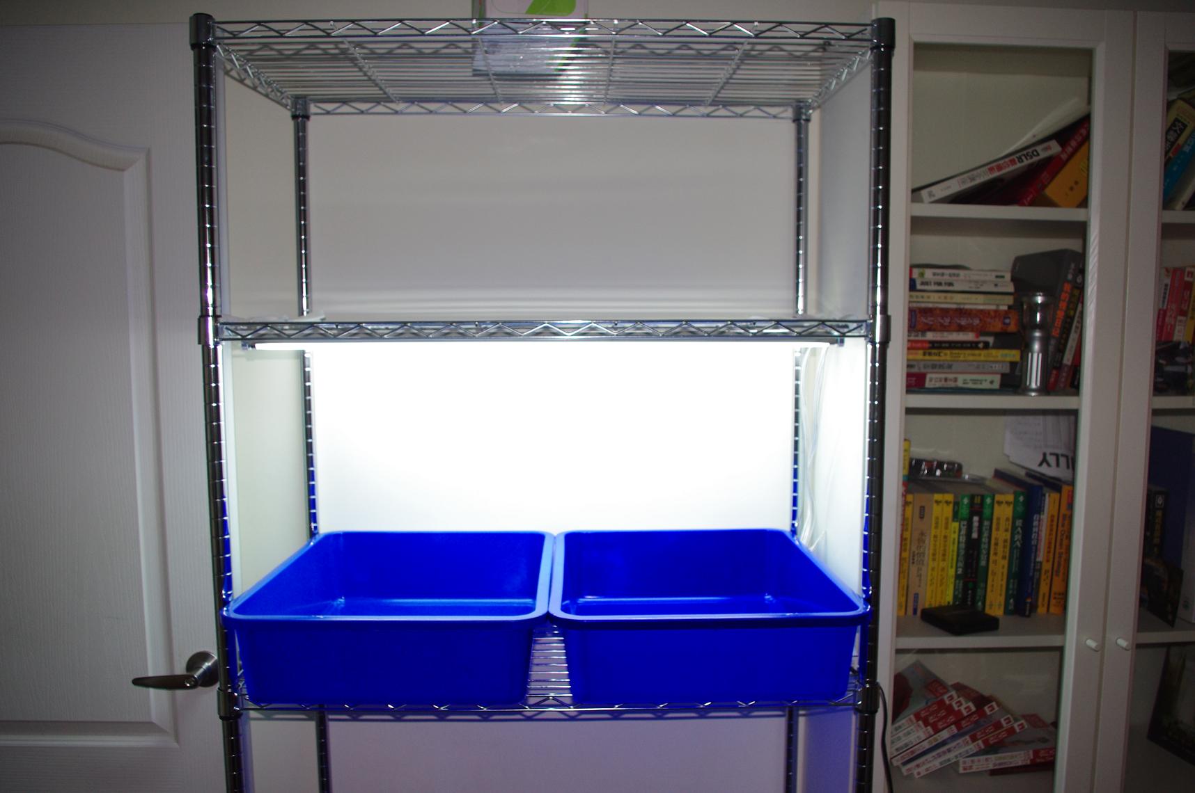 «ö¦¹¦b·sµøµ¡ÂsÄý¹Ï¤ù