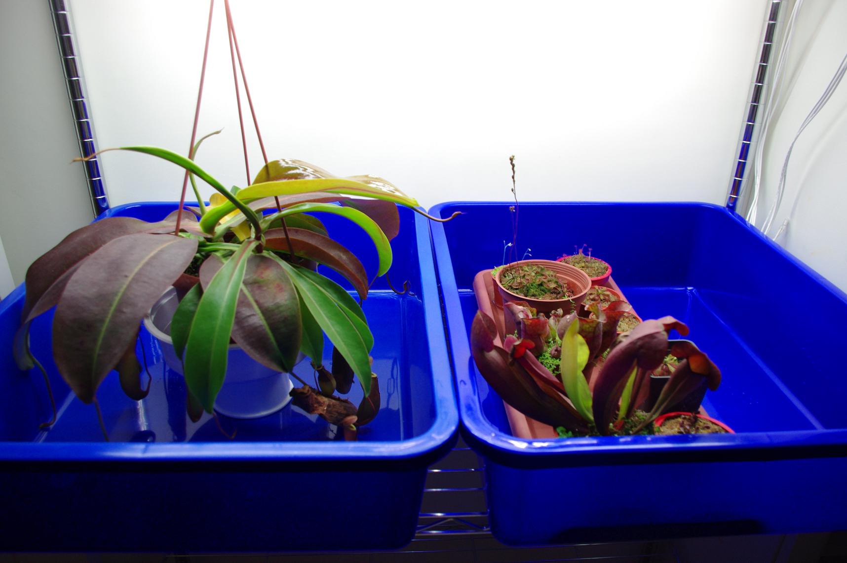 «ö¦¹¦b·sµøµ¡ÂsÄý¹Ï¤ù