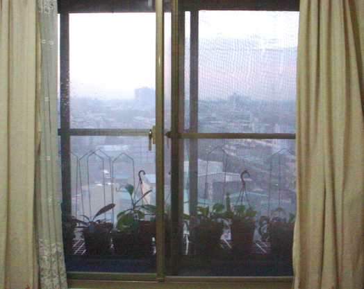 按此在新視窗瀏覽圖片