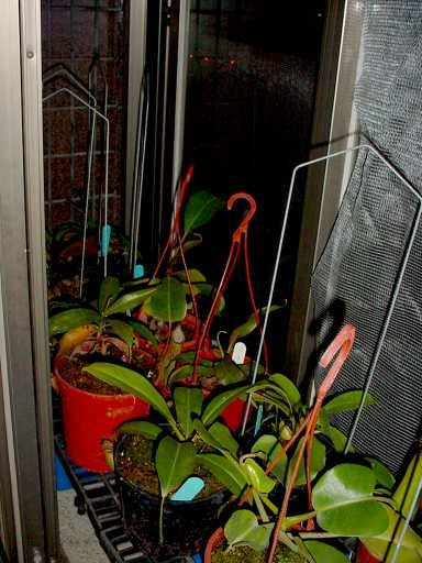 按此在新視窗瀏覽圖片