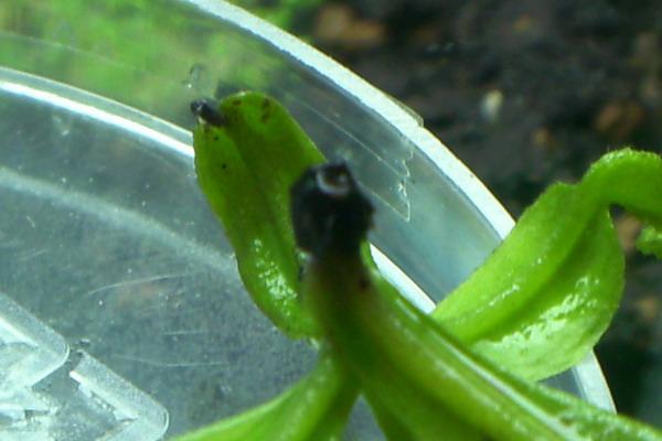 «ö¦¹¦b·sµøµ¡ÂsÄý¹Ï¤ù