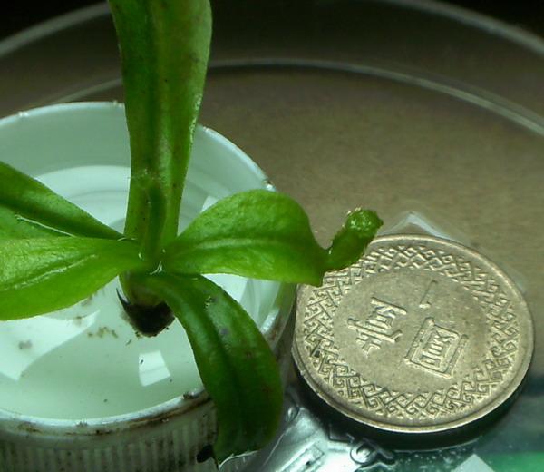 «ö¦¹¦b·sµøµ¡ÂsÄý¹Ï¤ù