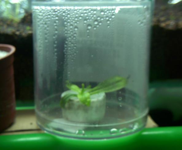 «ö¦¹¦b·sµøµ¡ÂsÄý¹Ï¤ù