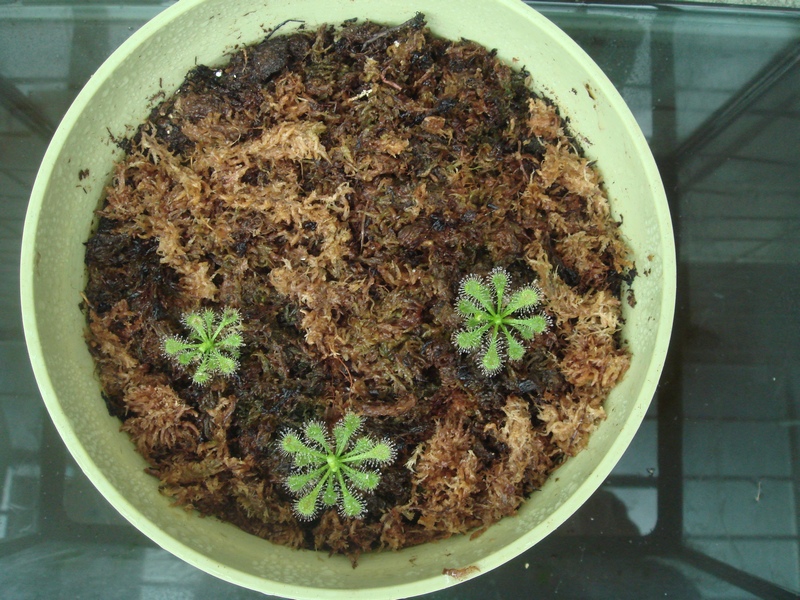 «ö¦¹¦b·sµøµ¡ÂsÄý¹Ï¤ù