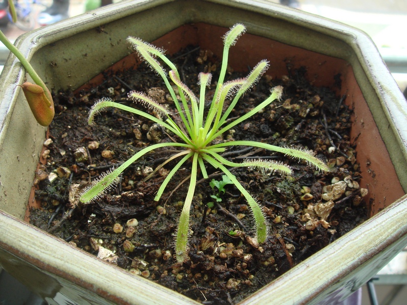 «ö¦¹¦b·sµøµ¡ÂsÄý¹Ï¤ù