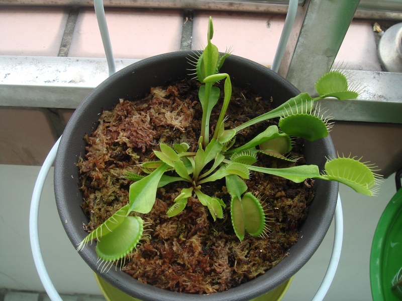 «ö¦¹¦b·sµøµ¡ÂsÄý¹Ï¤ù