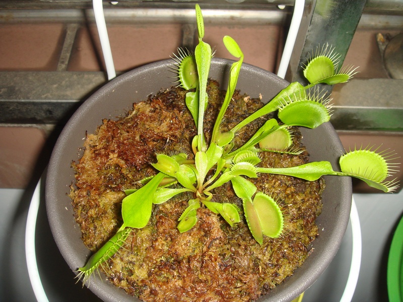 «ö¦¹¦b·sµøµ¡ÂsÄý¹Ï¤ù