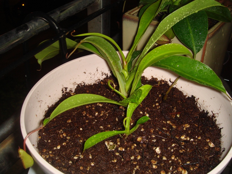 «ö¦¹¦b·sµøµ¡ÂsÄý¹Ï¤ù