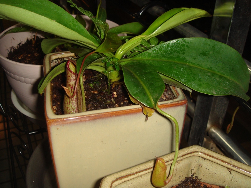 «ö¦¹¦b·sµøµ¡ÂsÄý¹Ï¤ù