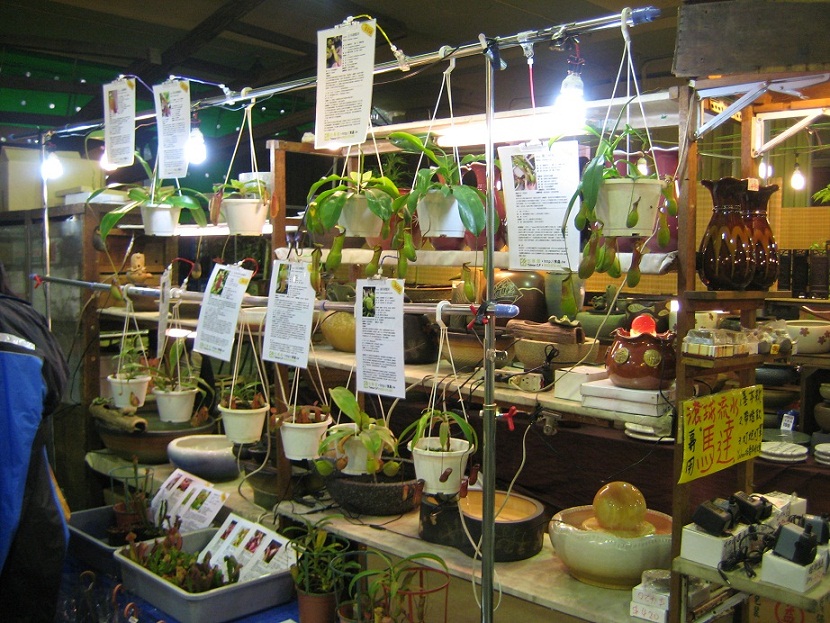 «ö¦¹¦b·sµøµ¡ÂsÄý¹Ï¤ù