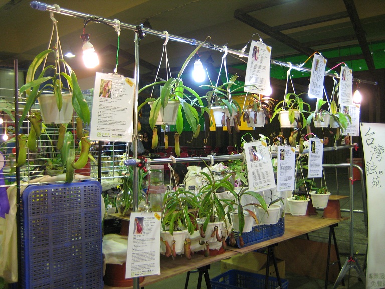 «ö¦¹¦b·sµøµ¡ÂsÄý¹Ï¤ù