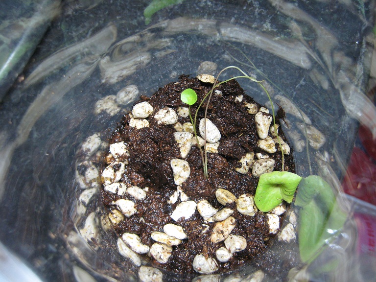 «ö¦¹¦b·sµøµ¡ÂsÄý¹Ï¤ù