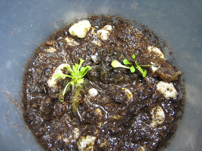 «ö¦¹¦b·sµøµ¡ÂsÄý¹Ï¤ù