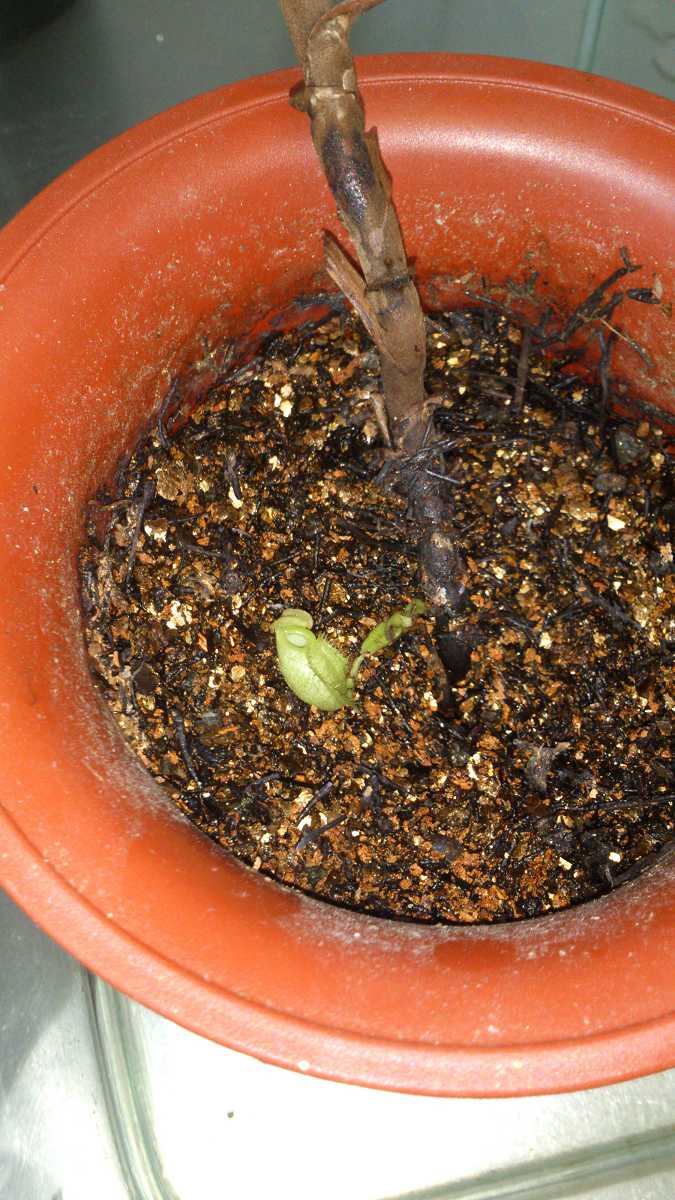 «ö¦¹¦b·sµøµ¡ÂsÄý¹Ï¤ù