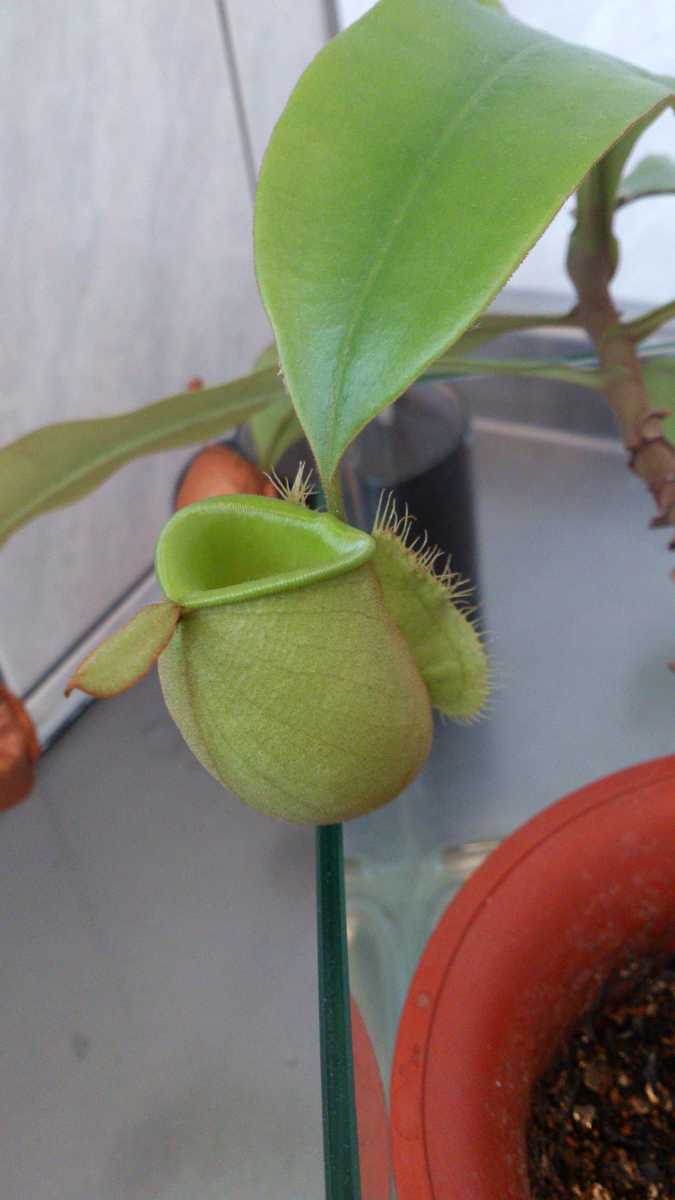 «ö¦¹¦b·sµøµ¡ÂsÄý¹Ï¤ù