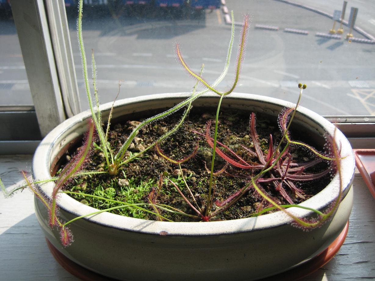 «ö¦¹¦b·sµøµ¡ÂsÄý¹Ï¤ù