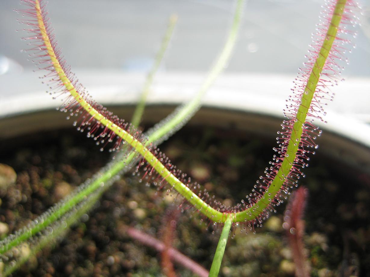 «ö¦¹¦b·sµøµ¡ÂsÄý¹Ï¤ù