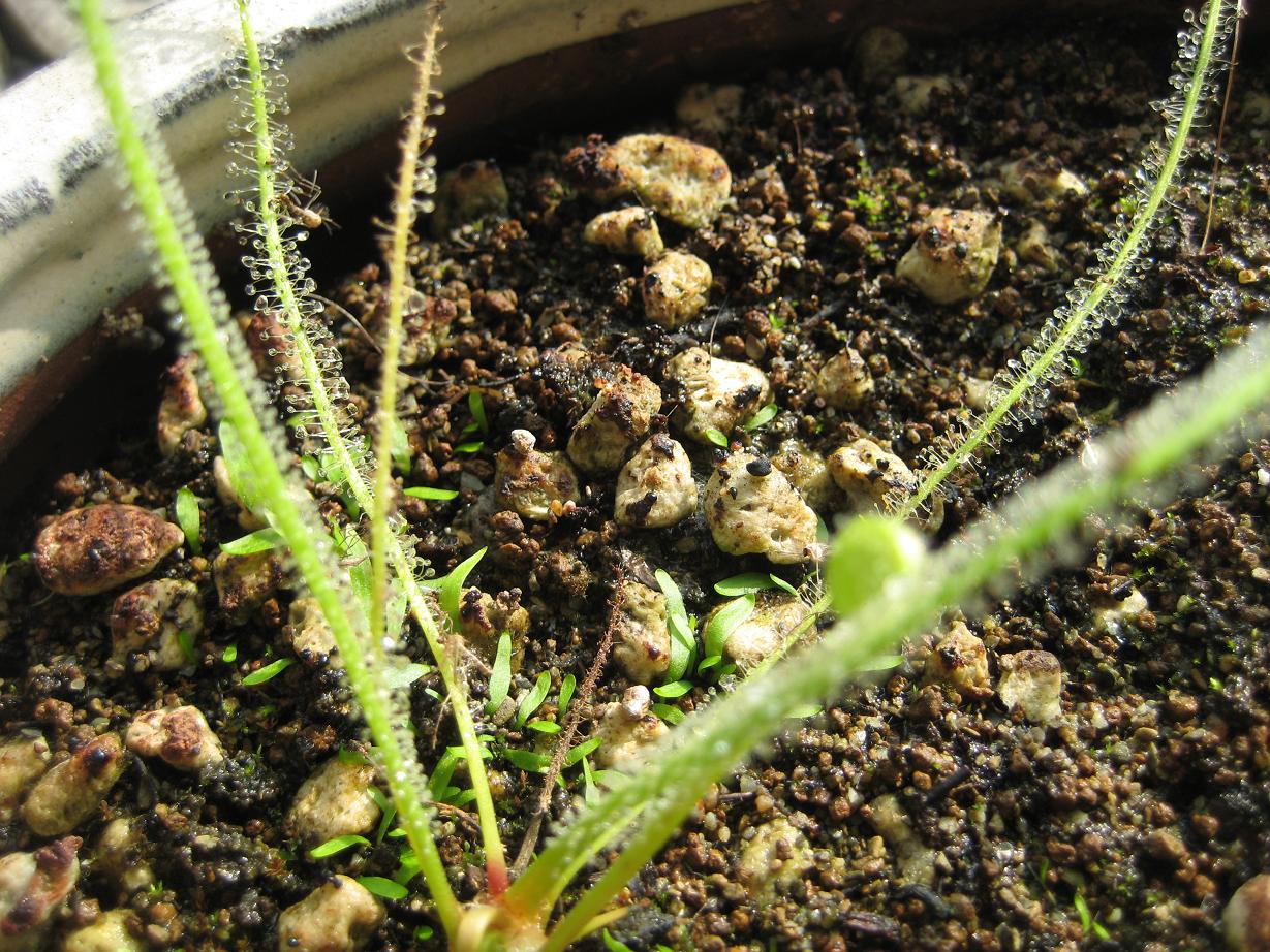 «ö¦¹¦b·sµøµ¡ÂsÄý¹Ï¤ù