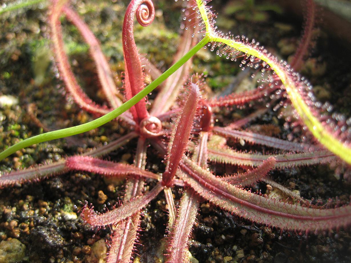 «ö¦¹¦b·sµøµ¡ÂsÄý¹Ï¤ù