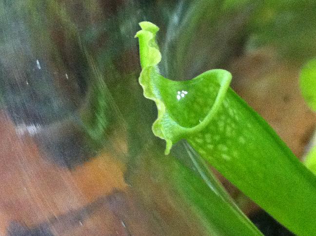 «ö¦¹¦b·sµøµ¡ÂsÄý¹Ï¤ù