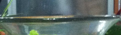 «ö¦¹¦b·sµøµ¡ÂsÄý¹Ï¤ù