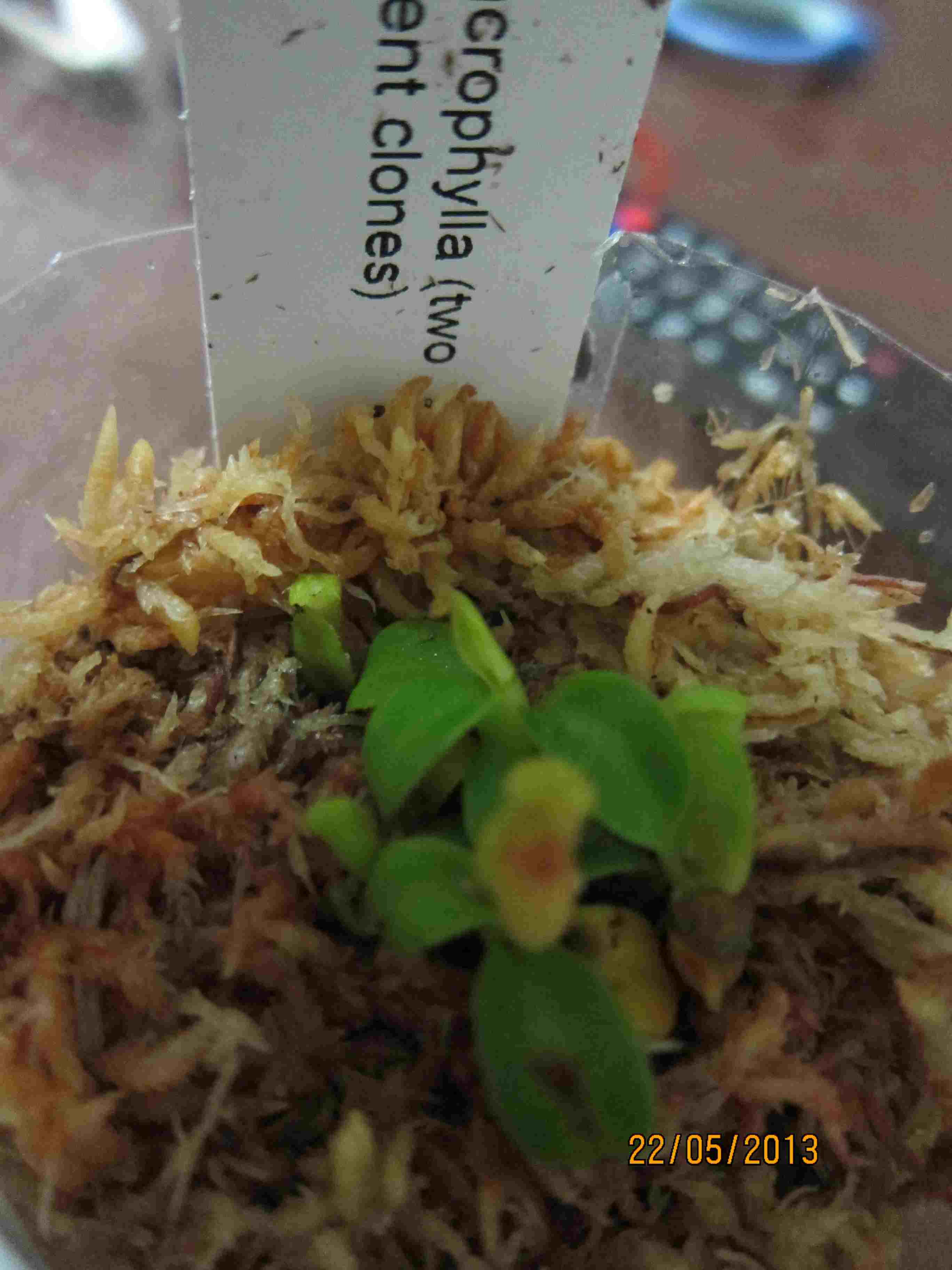 «ö¦¹¦b·sµøµ¡ÂsÄý¹Ï¤ù