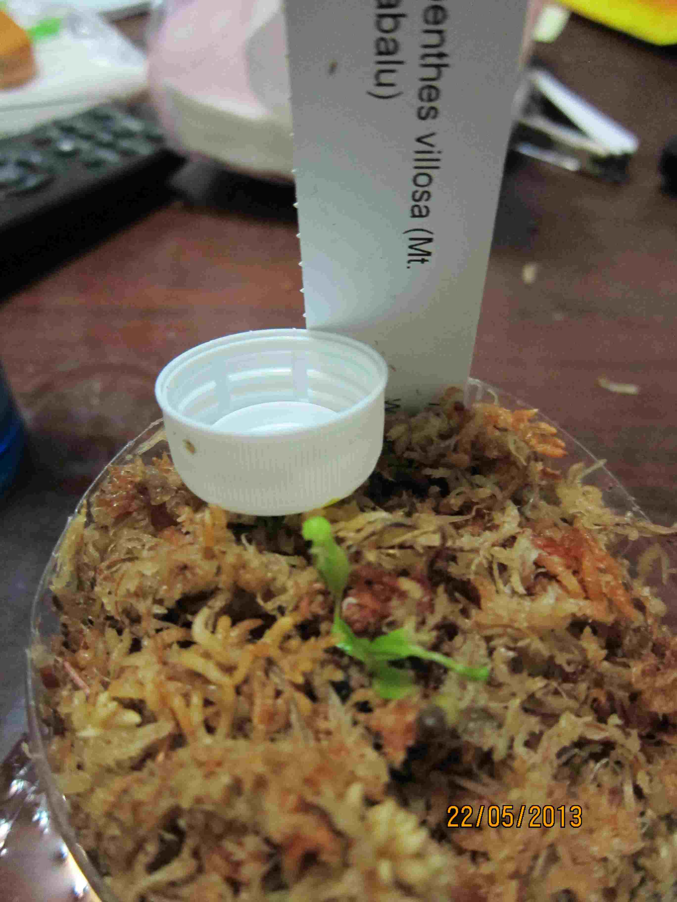 «ö¦¹¦b·sµøµ¡ÂsÄý¹Ï¤ù