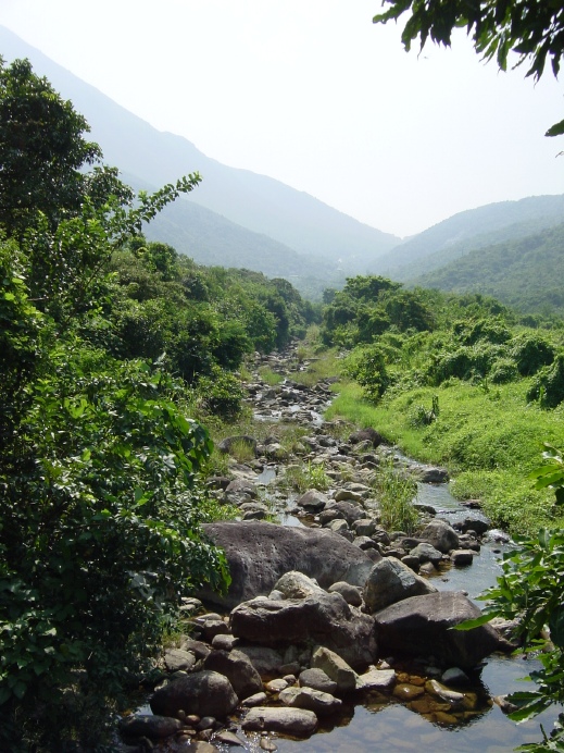 按此在新視窗瀏覽圖片