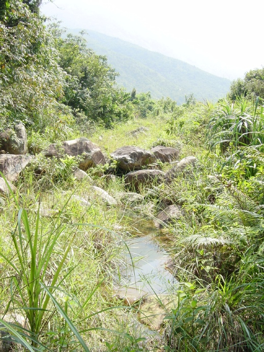 按此在新視窗瀏覽圖片