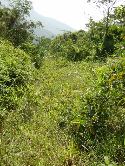 按此在新視窗瀏覽圖片