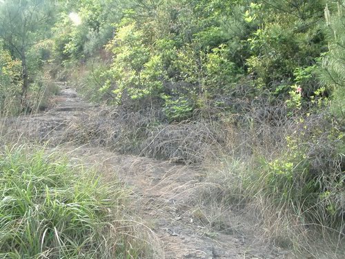 按此在新視窗瀏覽圖片