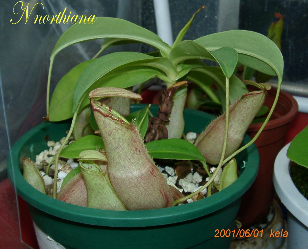 按此在新視窗瀏覽圖片