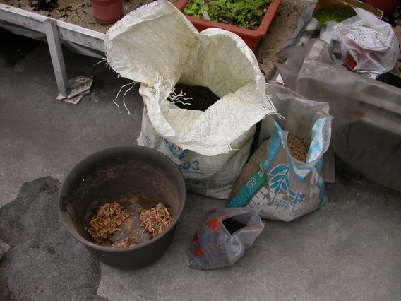 «ö¦¹¦b·sµøµ¡ÂsÄý¹Ï¤ù