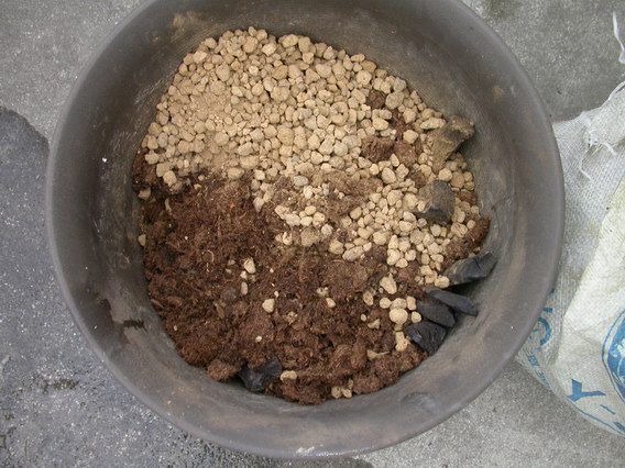 «ö¦¹¦b·sµøµ¡ÂsÄý¹Ï¤ù