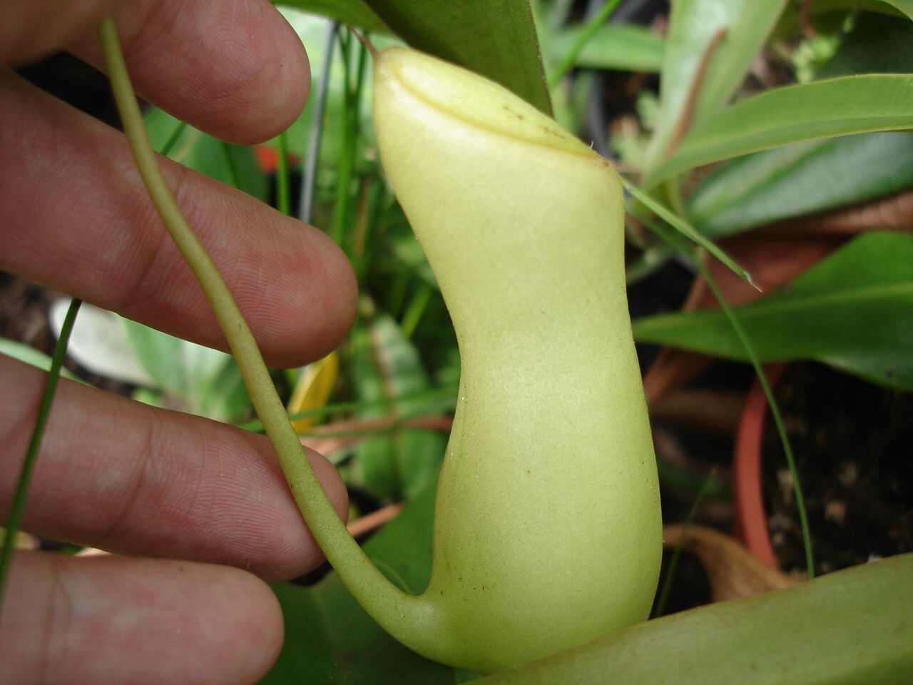 按此在新視窗瀏覽圖片