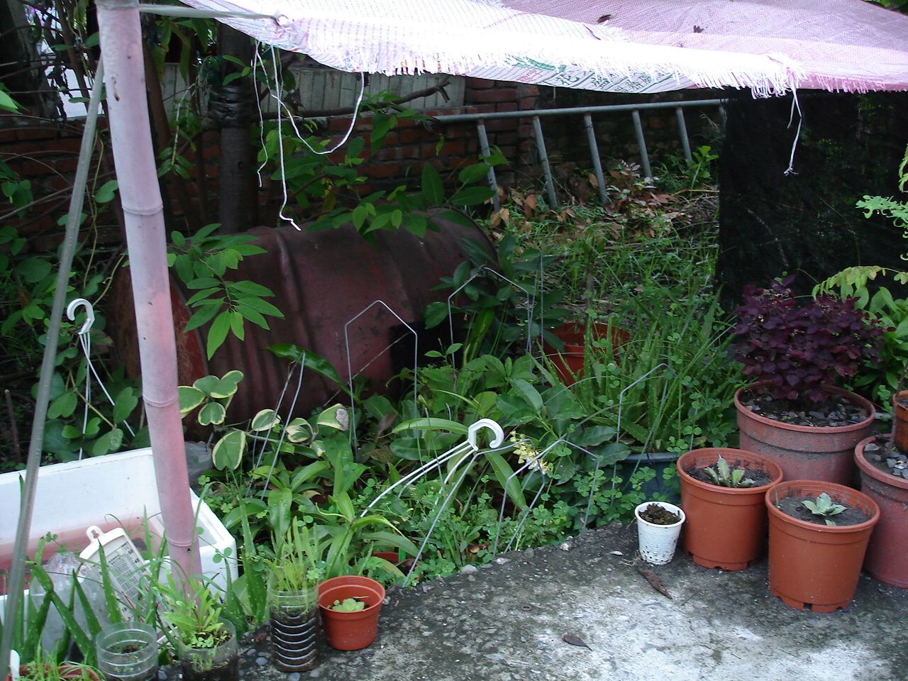 按此在新視窗瀏覽圖片