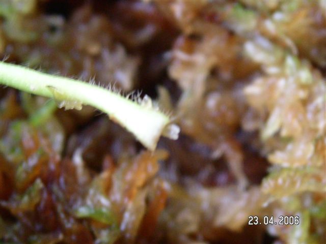 «ö¦¹¦b·sµøµ¡ÂsÄý¹Ï¤ù