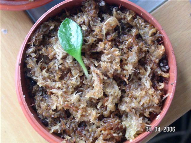 «ö¦¹¦b·sµøµ¡ÂsÄý¹Ï¤ù