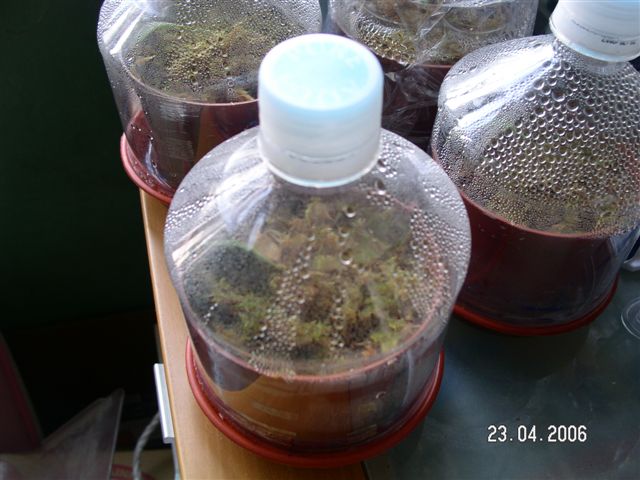 «ö¦¹¦b·sµøµ¡ÂsÄý¹Ï¤ù